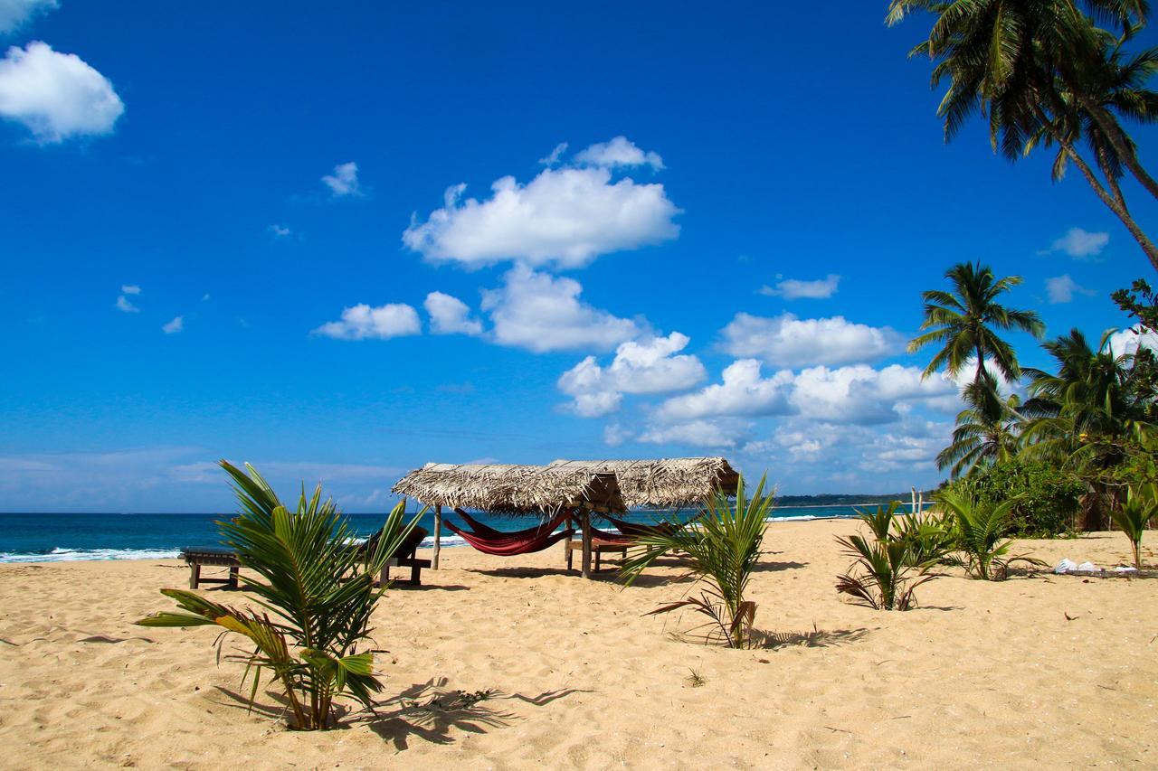 Shiva'S Beach Cabanas 탕갈레 외부 사진